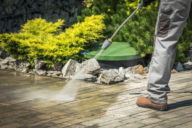 Best Driveway Pressure Washing  in Grape Creek, TX